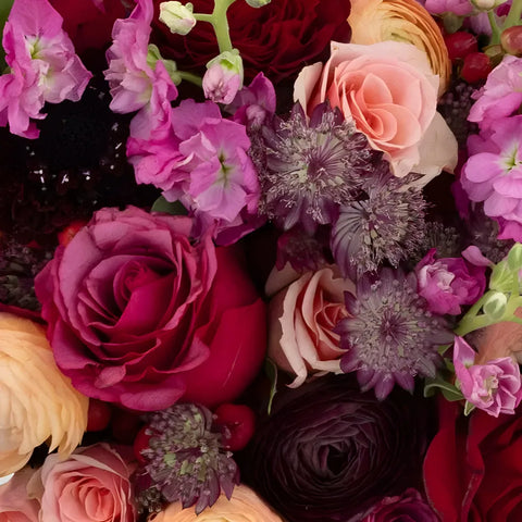 Berry Peachy Diy Flower Kit Close Up - Image