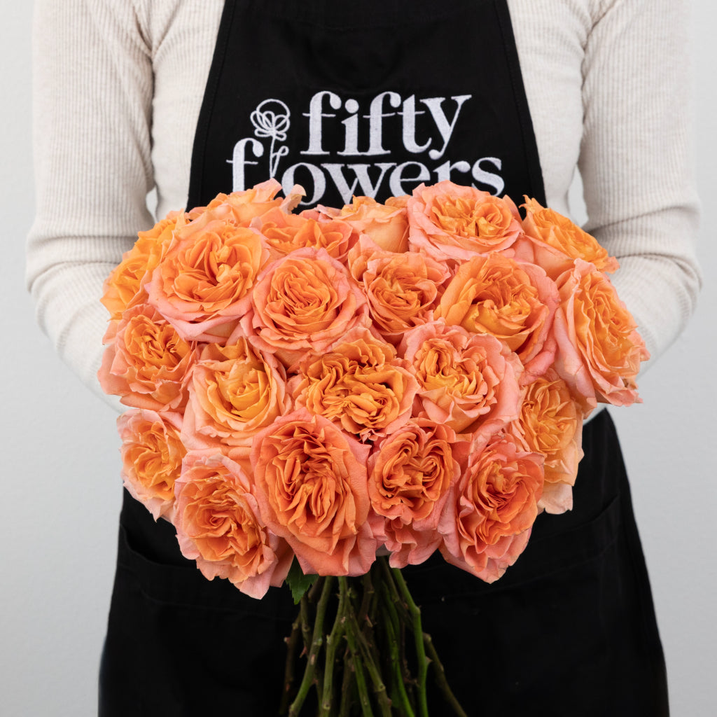 Buy Wholesale Wild Spirit Garden Rose in Bulk - FiftyFlowers