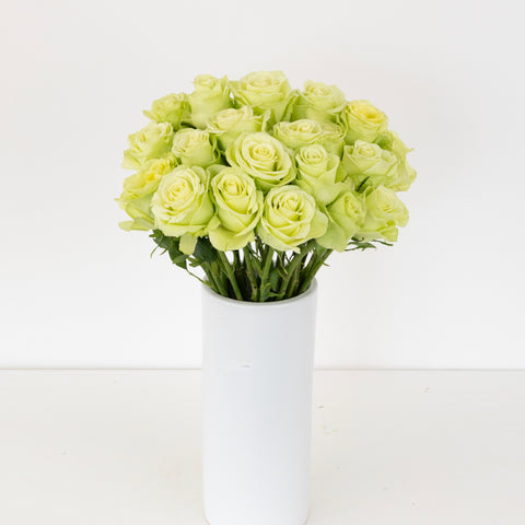 Green Romance Novelty Rose Vase - Image