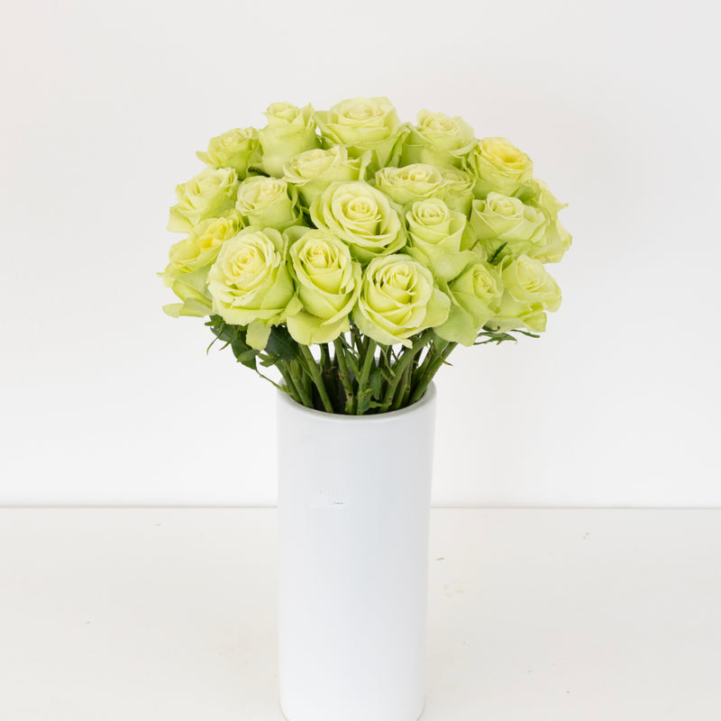 Green Romance Novelty Rose Vase - Image