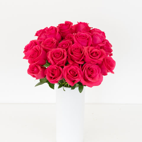 Hot Shot Rose Novelty Rose Vase - Image