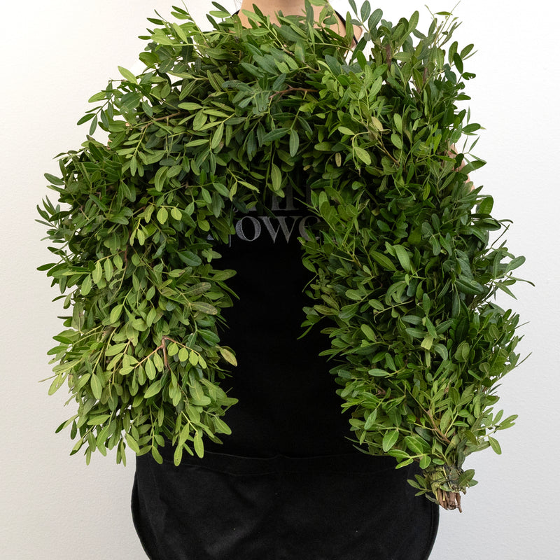 Pistachia Green Garland Apron - Image