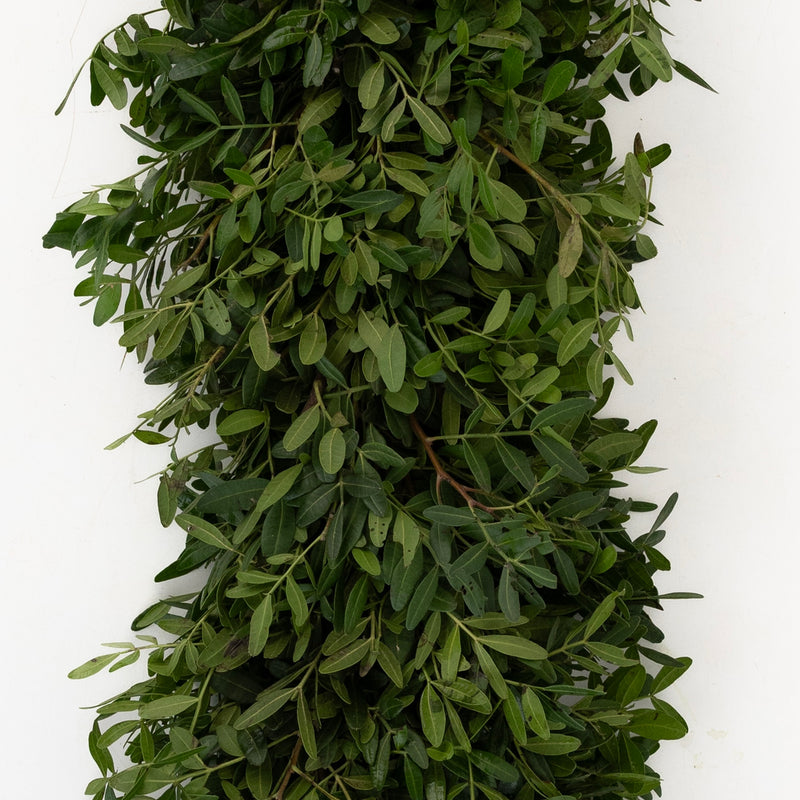 Pistachia Green Garland Apron - Image