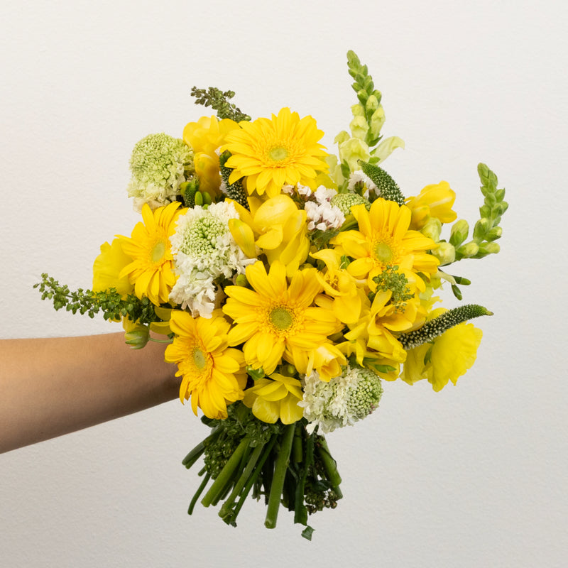 Yellow And White Sunshine Flower Bouquet Close Up - Image