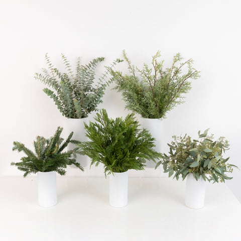 Modern Winter Greens Diy Flower Kit Close Up - Image