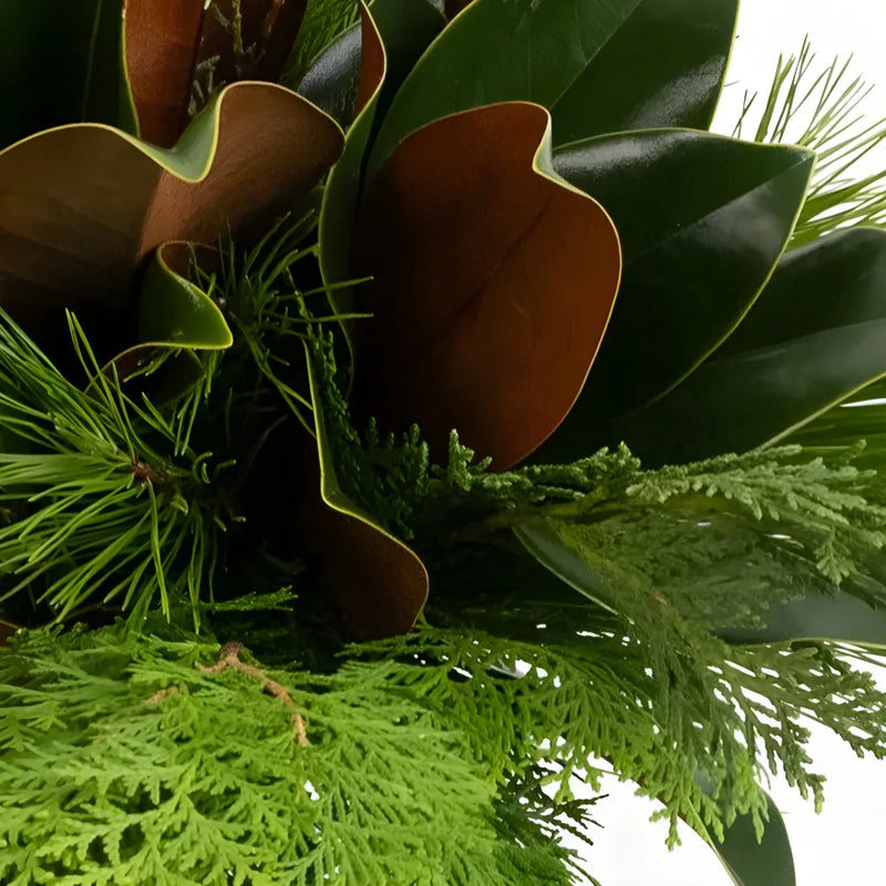 Fresh Southern Greens Diy Flower Kit Stem - Image