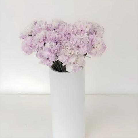 Dusty Lavender Tinted Carnation Flowers Vase - Image