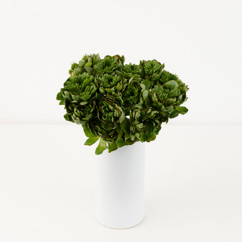 Organic Green Cloony Ranunculus Vase - Image