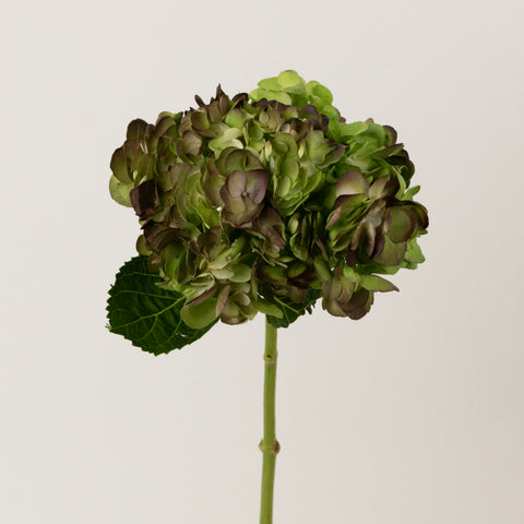 Antique Airbrushed Hydrangea Flower Stem - Image