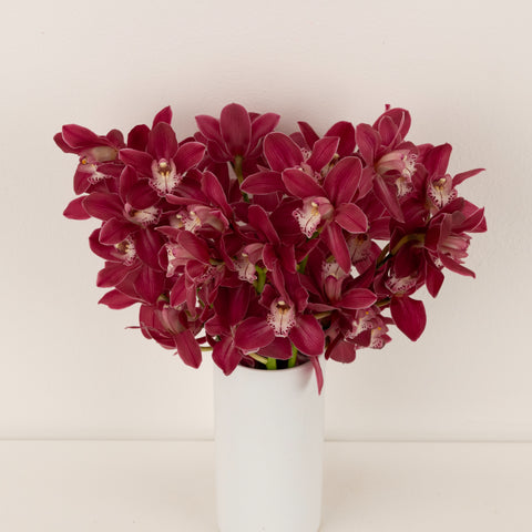 Exotic Rose Mini Cymbidium Orchid Vase - Image