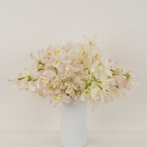 Creamy Blush Mini Cymbidium Orchids Apron - Image