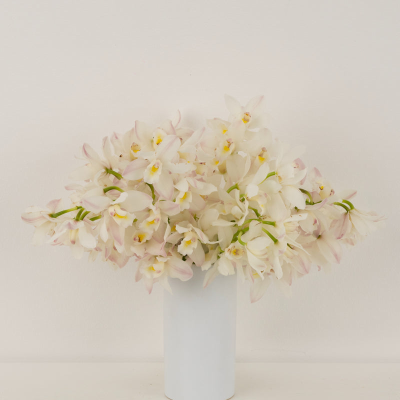Creamy Blush Mini Cymbidium Orchids Apron - Image