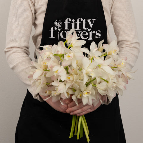 Creamy Blush Mini Cymbidium Orchids Other - Image