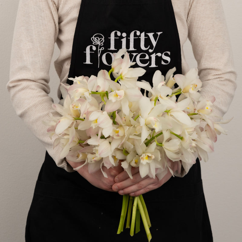 Creamy Blush Mini Cymbidium Orchids Other - Image