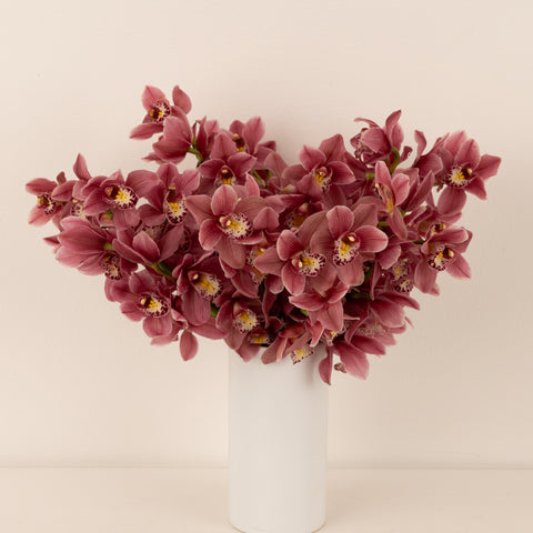 Rosey Wine Mini Cymbidium Orchid Apron - Image
