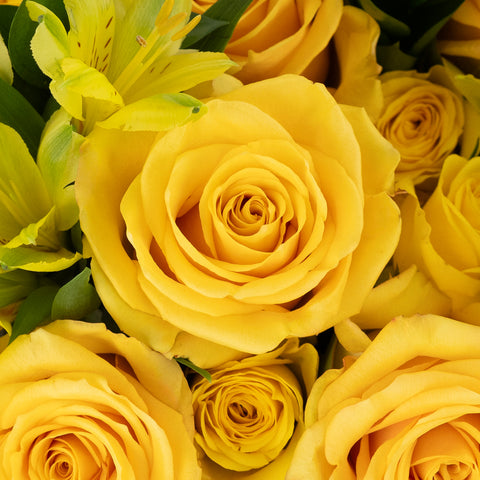 Hello Yellow Diy Flower Kit Close Up - Image