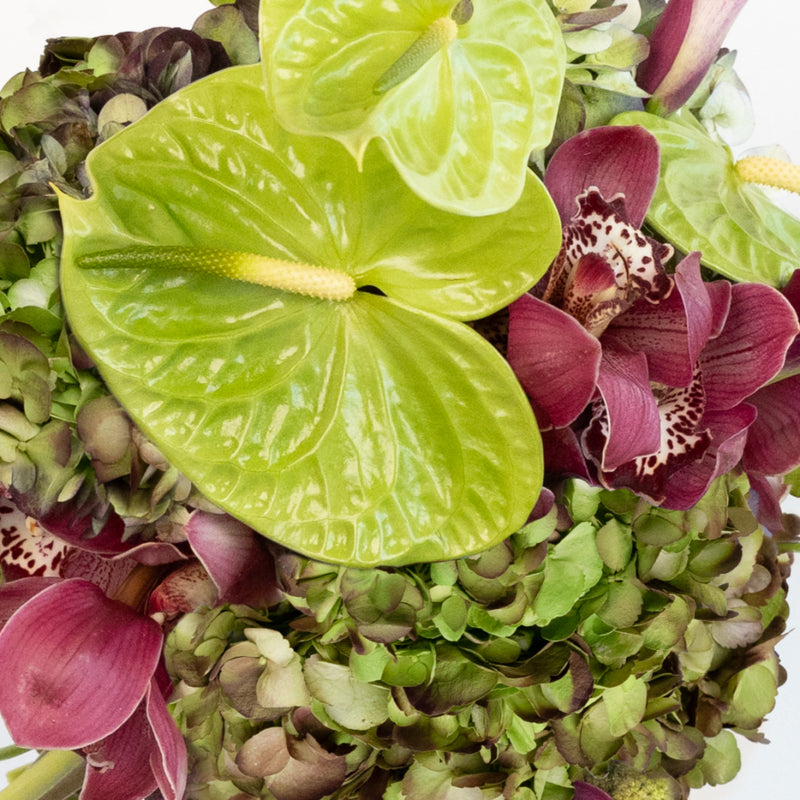 Modern Romance Diy Flower Kit Close Up - Image