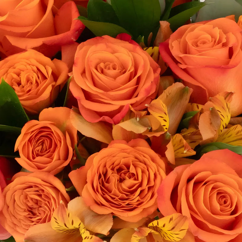 Orange Crush Diy Flower Kit Close Up - Image