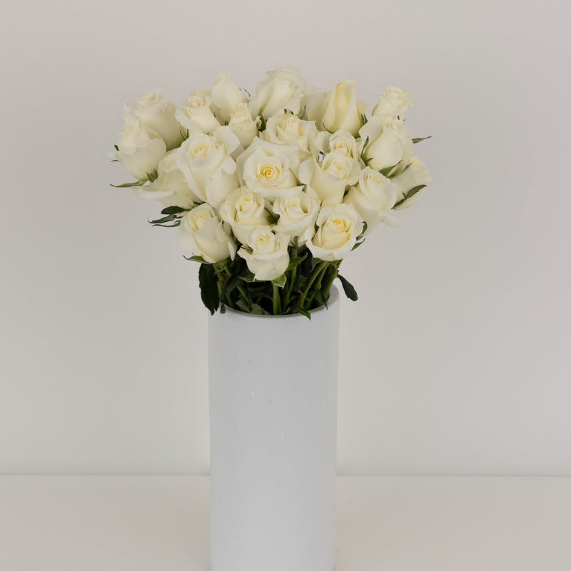 Blizzard White Rose Vase - Image
