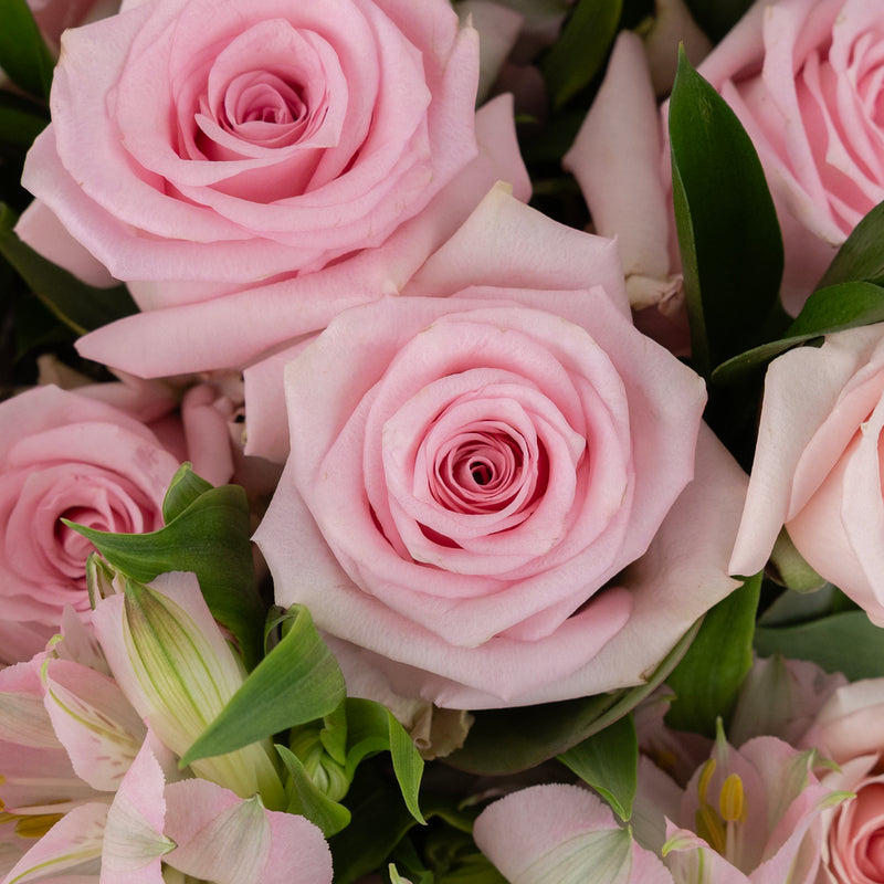 Pale Pink Flower Bouquet Close Up - Image