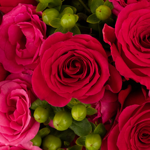 Bright Pink Diy Flower Kit Close Up - Image