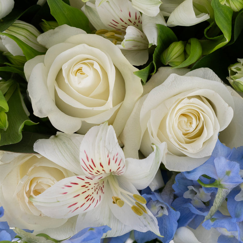 Beautiful Blues Diy Flower Kit Close Up - Image