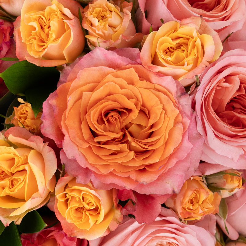 Coral Gardens Diy Flower Kit Close Up - Image