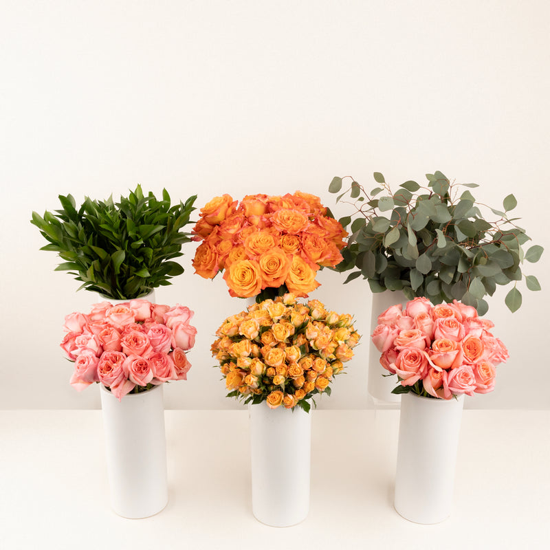 Coral Gardens Diy Flower Kit Stem - Image
