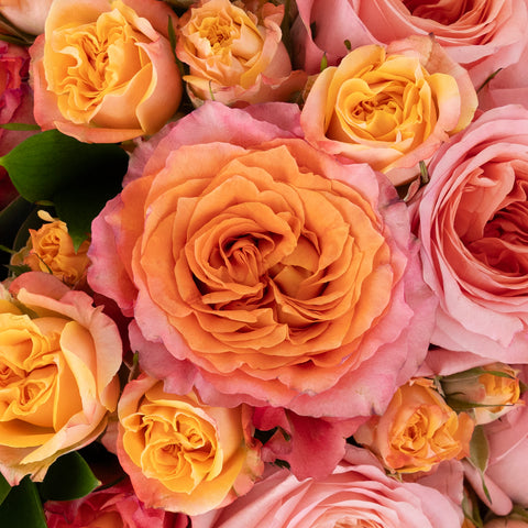 Coral Gardens Flower Bouquet Stem - Image
