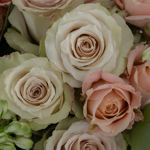 Sandy Sensations Flower Bouquet Stem - Image