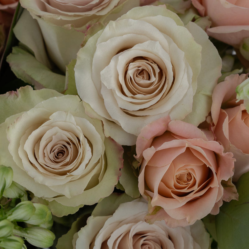 Sandy Sensations Flower Bouquet Stem - Image