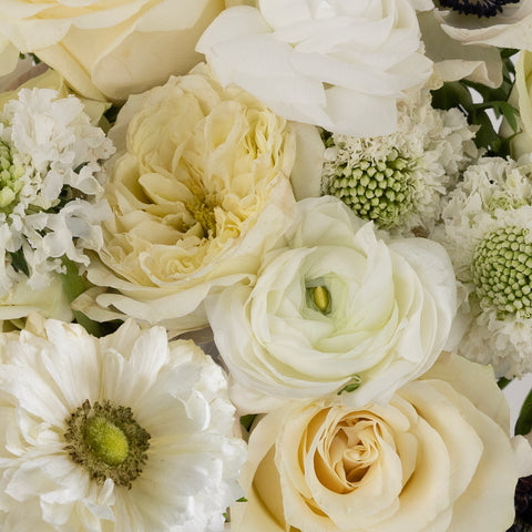 Cloud Dancer Diy Flower Kit Close Up - Image