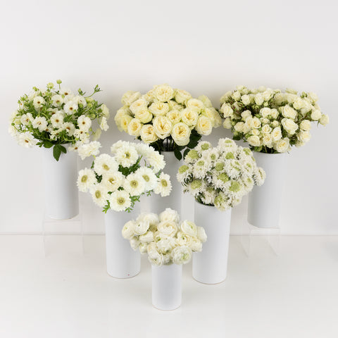Cloud Dancer Diy Flower Kit Stem - Image