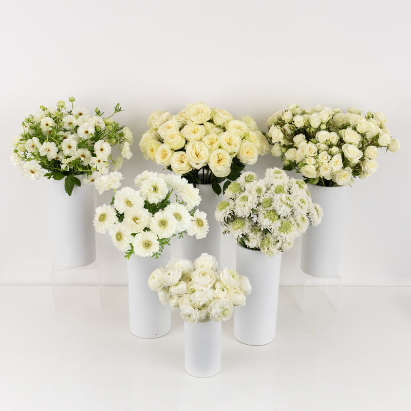 Cloud Dancer Diy Flower Kit Stem - Image