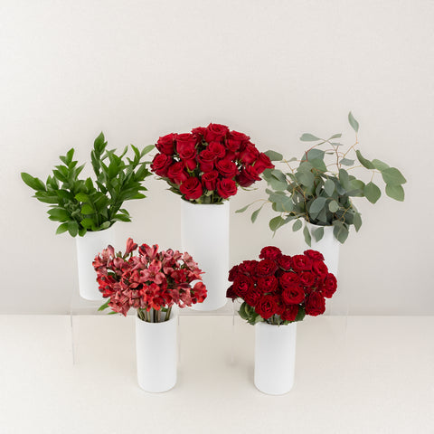 Ruby Red Prom Kit Stem - Image