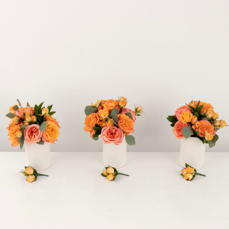 Coral Gardens Prom Kit Other - Image