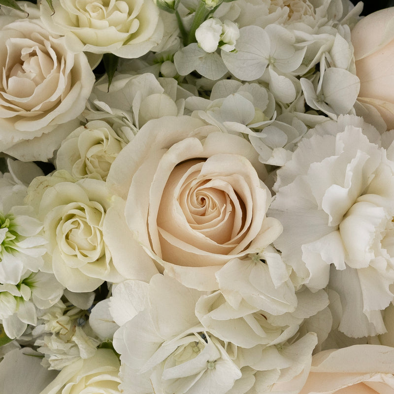 Farm To Table White Diy Flower Kit Close Up - Image