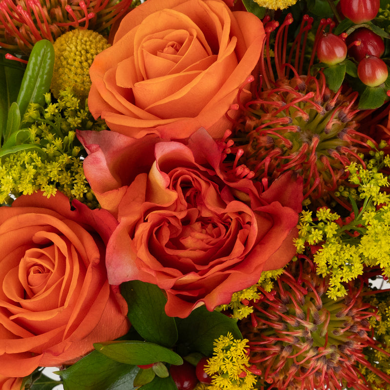 Free Spirit And Pin Cushion Flower Bouquet Stem - Image