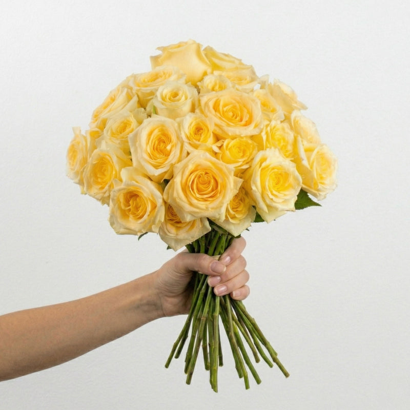 Creme De La Creme Rose Bouquet Close Up - Image