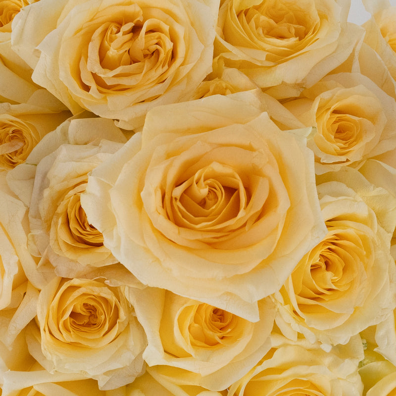 Creme De La Creme Rose Bouquet Stem - Image