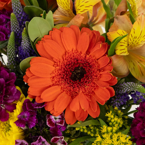 Salsa Themed Event Flower Centerpieces Close Up - Image