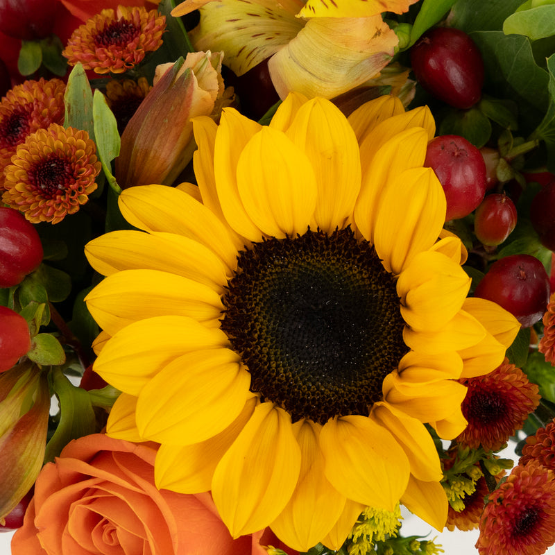 Thanksgiving Decorative Flower Centerpiece Close Up - Image