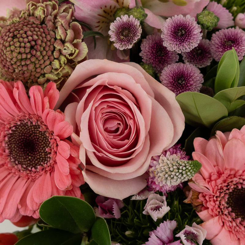 Pink Valentines Day Flower Centerpieces Close Up - Image
