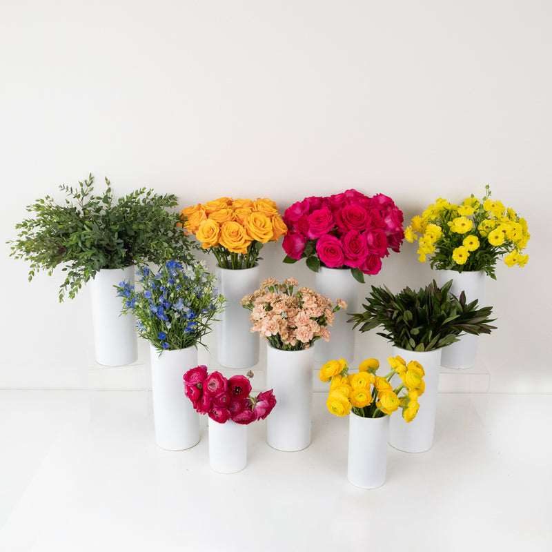 Dragonfruit Delight Diy Flower Kit Stem - Image