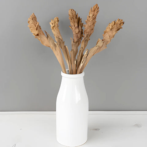 Brown Dried Ginger