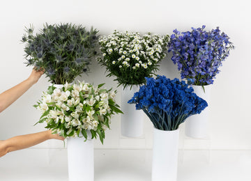 Blue Magic Flower Bouquet Bar Flower Kit Close Up - Image