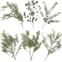 Choose Your Own Eucalyptus Diy Greenery Kit Vase - Image
