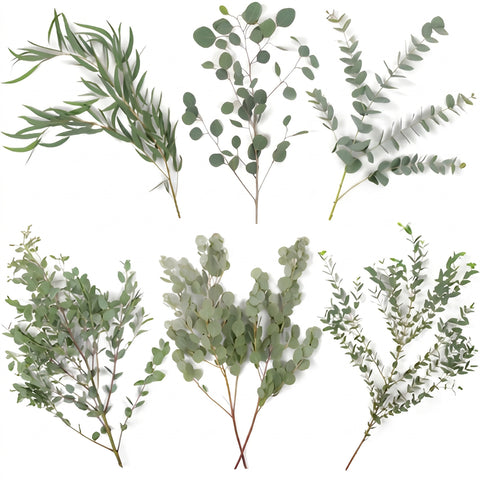 Choose Your Own Eucalyptus Diy Greenery Kit Vase - Image