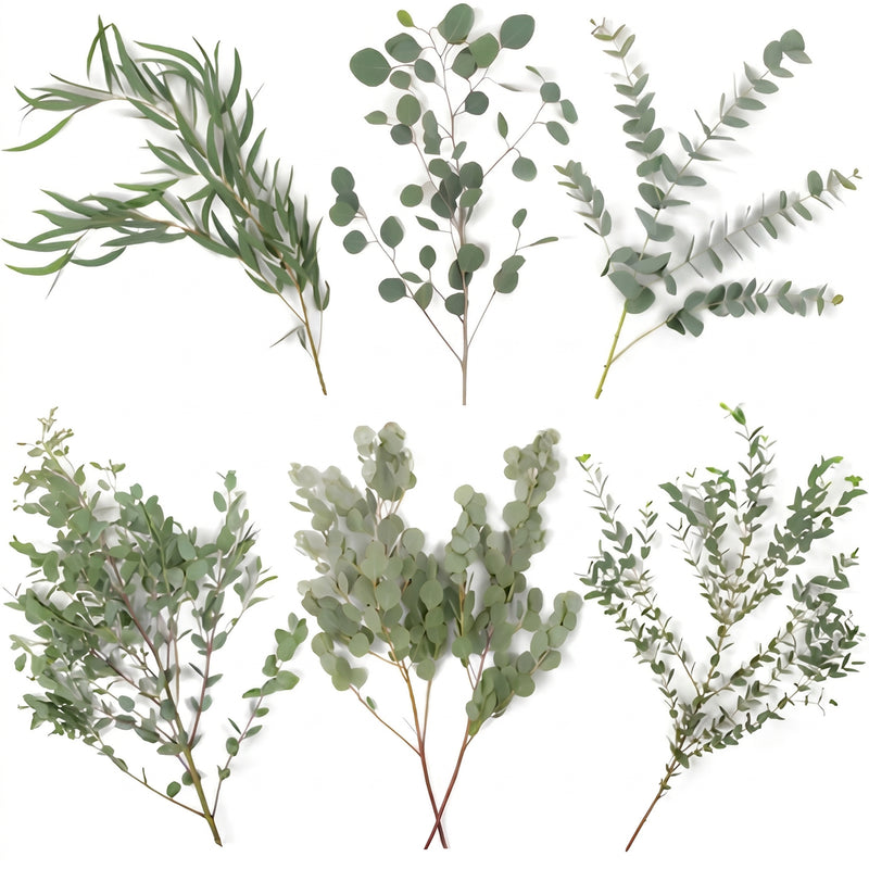 Choose Your Own Eucalyptus Diy Greenery Kit Vase - Image