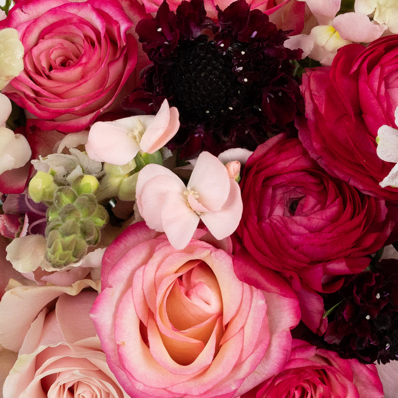 On Cloud Wine Diy Flower Kit Close Up - Image